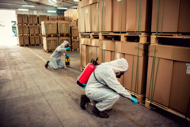 Best Local Pest Control Services  in Lakeway, TX