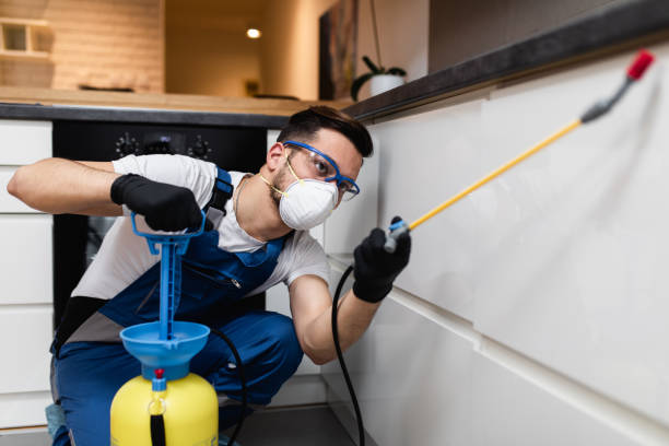 Trusted Lakeway, TX Pest Control Experts