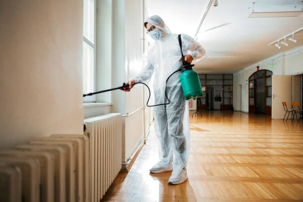 Best Best Pest Control Companies  in Lakeway, TX